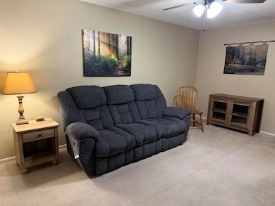 3826 Buckland Square, Owensboro, KY 42301 - photo 4