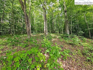 TBD Whispering Breeze Ridge, Todd, NC 28684 - photo 3