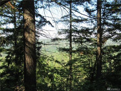 0 238th Ave E, Orting, WA 98360 - photo 6