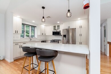 10 Longmeadow Ln, Medway, MA 02053 - photo 5