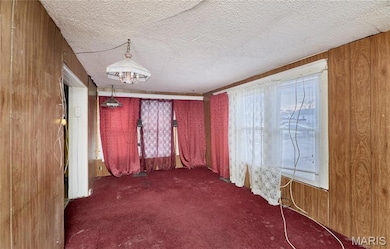 111 W Loretta Ave, Saint Louis, MO 63125 - photo 3