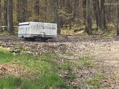 0 Moon Rd, Cobbs Lake Preserve, PA 18436 - photo 3