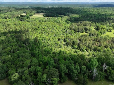 5701 Sunshine Rd unit B, Pearcy, AR 71964 - photo 7