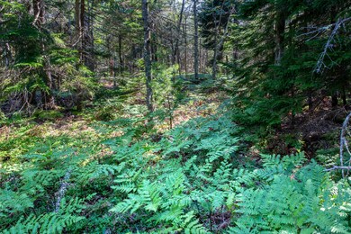 18-Lot8RockGardenWay-SealHarbor