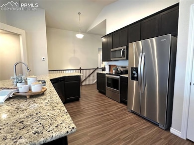 Kitchen featuring vaulted ceiling, a sink, appliances with stainless steel finishes, dark wood finished floors, and dark cabinets