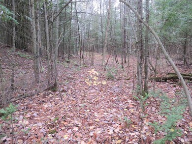 0 E Hill Rd unit 4889279, Troy, VT 05859 - photo 7