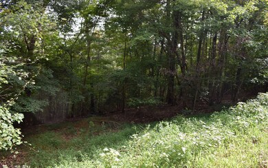 Additional View