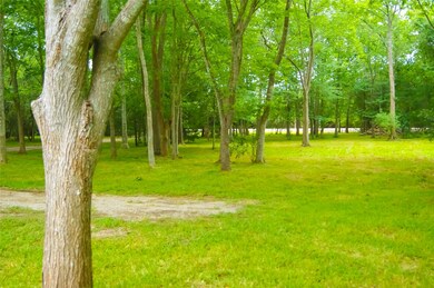 15702 County Road 191, Alvin, TX 77511 - photo 2