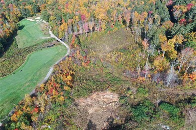 0 Dublin Rd unit 229-8.10 4887359, Jaffrey, NH 03452 - photo 4