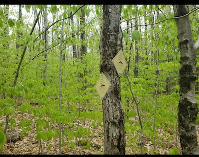 0 Old Gilsum Rd unit 5034729, Keene, NH 03431 - photo 6