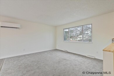 4729 Cactus Way, Cheyenne, WY 82009 - photo 4