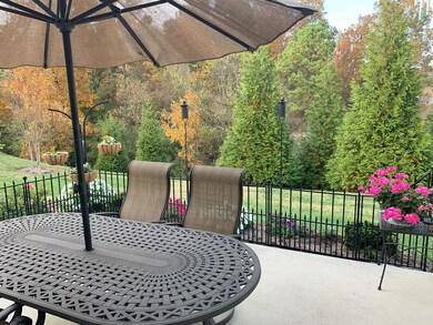 Back Patio - Summer