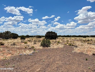 4044 Meadowbrook Dr, Williams, AZ 86046 - photo 3