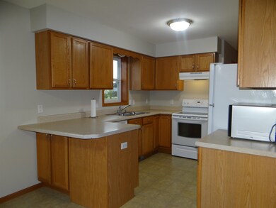 425 Vorndran Dr, Belleville, WI 53508 - photo 4