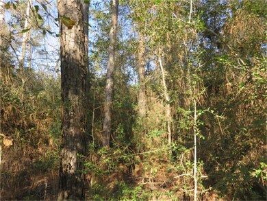 110x200 great shape lotlots of privacy