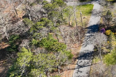 Photo_6554430-2