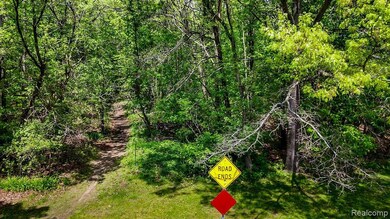 0 Michael St, Brandon Township, MI 48462 - photo 3