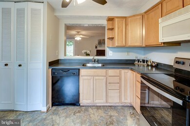 7516 Summer Blossom Ln, Columbia, MD 21046 - photo 7