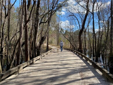 One of Many Bridges Through Swamp