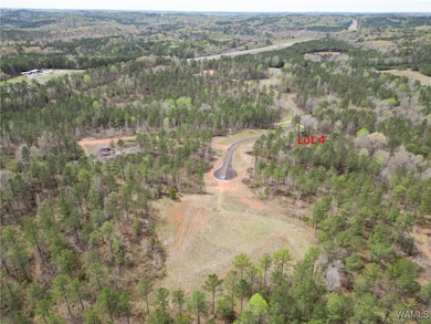 Lot 4 Pine Cir, Coker, AL 35452 - photo 3