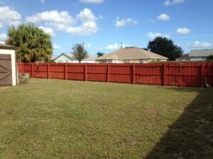 back yard