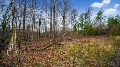 435 Bruemmer Rd, Monroe Township, OH 45144 - photo 5