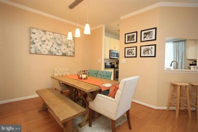 20478 Cool Fern Square, Ashburn, VA 20147 - photo 6