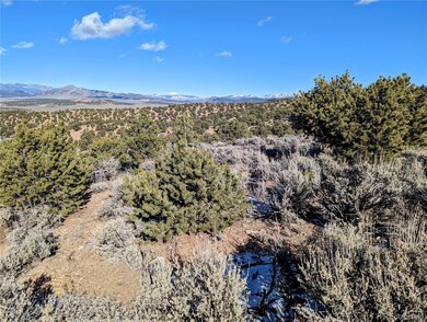 Lot 3840 Murray Rd, Fort Garland, CO 81133 - photo 7