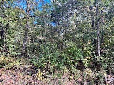 0 Bayview Dr Lot 160&161 unit RTC2782305, Bumpus Mills, TN 37028 - photo 5