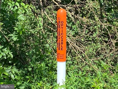 20 Hickory Loop Dr, Old Fields, WV 26845 - photo 6