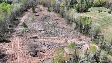 TBD7.5 Tapiola Rd, Chassell, MI 49916 - photo 4