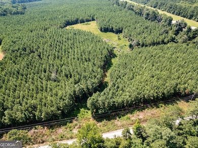 0 7 Island Rd unit 10560556, Monticello, GA 31064 - photo 2