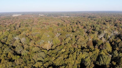 5302 Bend Rd, Vaughan, MS 39179 - photo 3