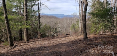 00 Bearwallow Mountain Rd unit 191, Hendersonville, NC 28792 - photo 6