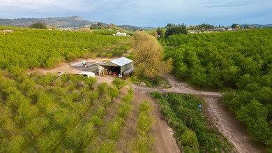 11706 SW Spring Hill Rd, Gaston, OR 97119 - photo 5