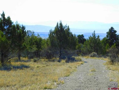 0 Uintah Rd unit 752141, Cedaredge, CO 81413 - photo 6