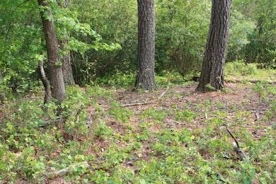 7300 Oak Ridge Place unit 5A, Chincoteague, VA 23336 - photo 2