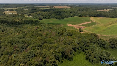 4 Acres Carters Gin Rd, Toney, AL 35773 - photo 4