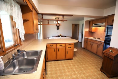 41984 Debra Dr, Elyria, OH 44035 - photo 3