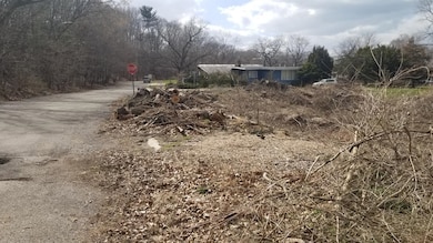 701 N Randolph St, Gary, IN 46403 - photo 3