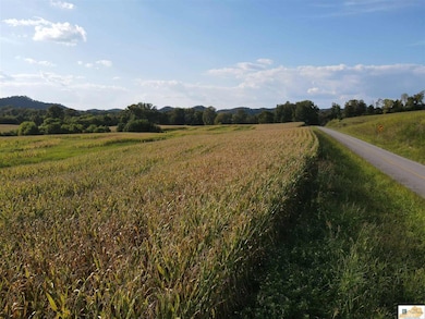 57AC Smith Grove Rd, Burkesville, KY 42717 - photo 2