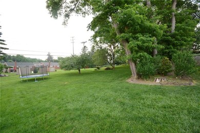 Another view of the yard, Hand you hammock in the 