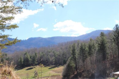 00 Burleson Gap Rd, Burnsville, NC 28714 - photo 4
