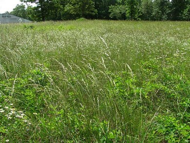 0 W Hwy 72 Hwy unit 696015, Bentonville, AR 72712 - photo 3