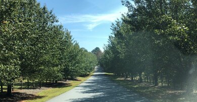 106 Captains Way unit M206, Anderson, SC 29625 - photo 5