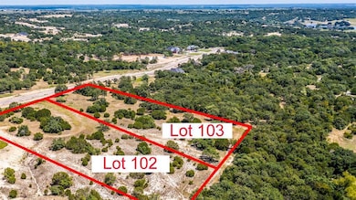 1216 Eagles Bluff Dr, Weatherford, TX 76087 - photo 5