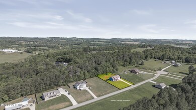 123 Tommy Loop-26