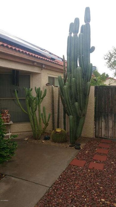 Front Entry Cactus Garden