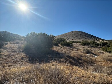 0 Vic Valleysage Rd Tuthil unit SR25171584, Agua Dulce, CA 91350 - photo 4