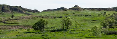 IMG_0784